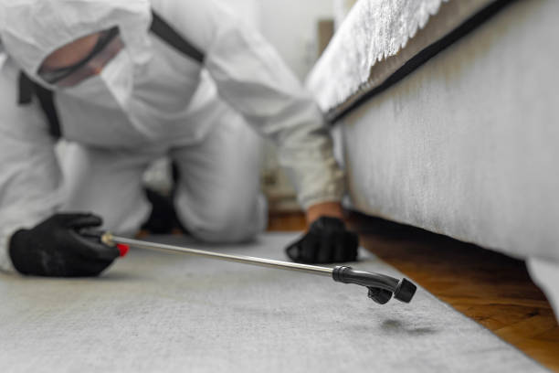 Professional Pest Control technician working in Chippewa County County, MI